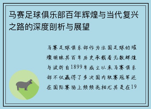 马赛足球俱乐部百年辉煌与当代复兴之路的深度剖析与展望