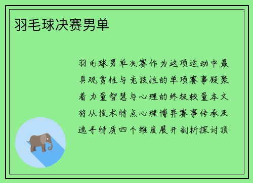 羽毛球决赛男单