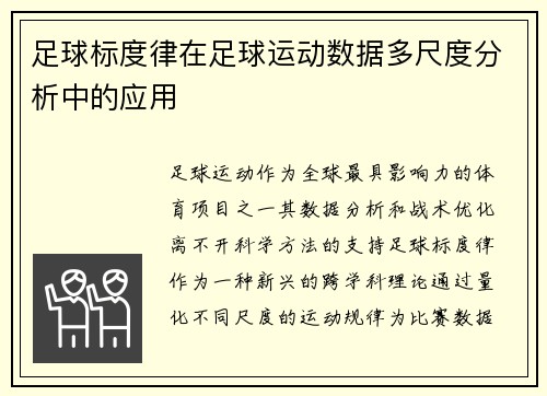 足球标度律在足球运动数据多尺度分析中的应用