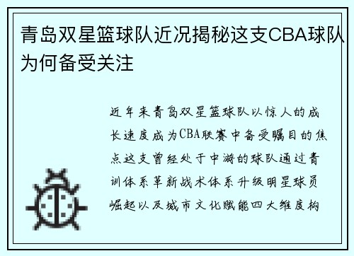 青岛双星篮球队近况揭秘这支CBA球队为何备受关注
